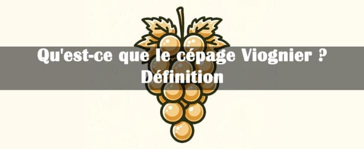 cépage Viognier definition